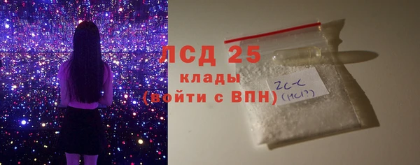 индика Осинники