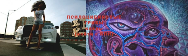 стаф Пестово