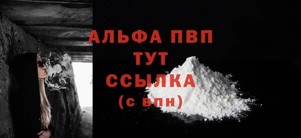 стаф Пестово