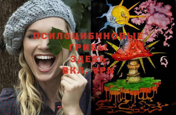 бутират Переславль-Залесский