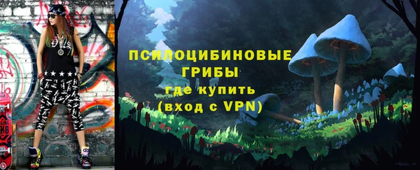 сатива Вуктыл