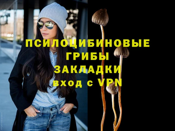 бутират Переславль-Залесский