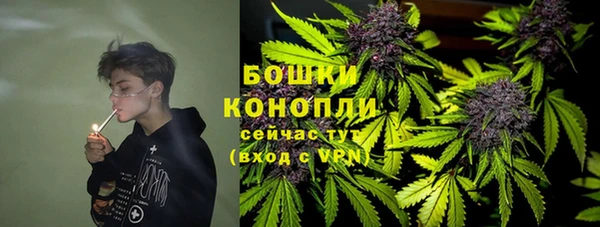 стаф Пестово
