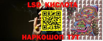 прущие крисы Бийск