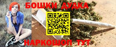 МДПВ Гатчина