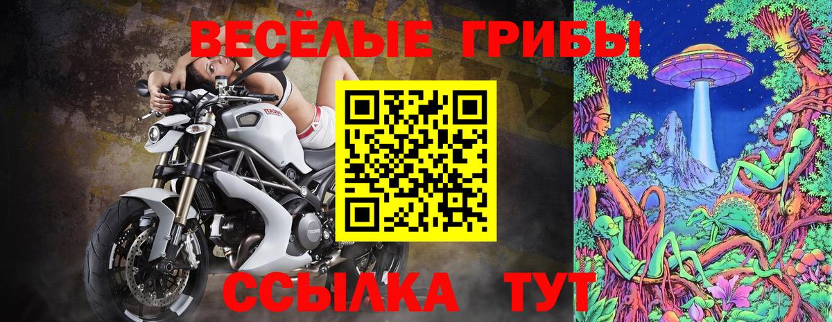 Псилоцибиновые грибы GOLDEN TEACHER Сафоново