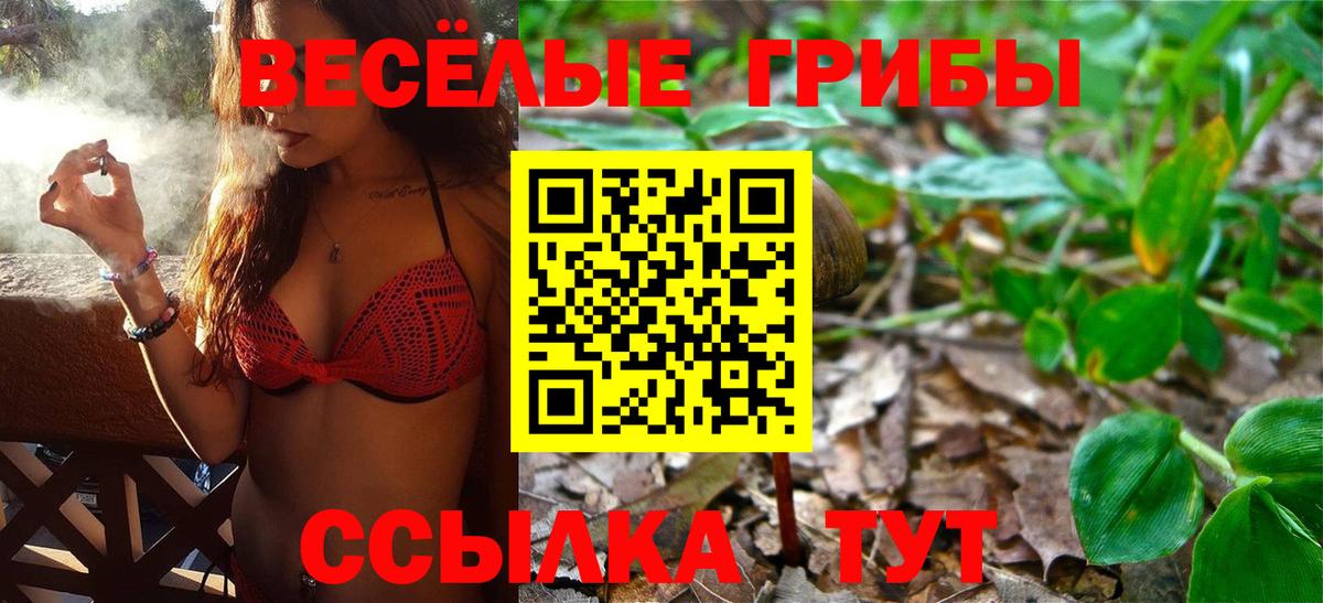 что такое   Сафоново  Псилоцибиновые грибы мухоморы  Галлюциногенные грибы Psilocybine cubensis 